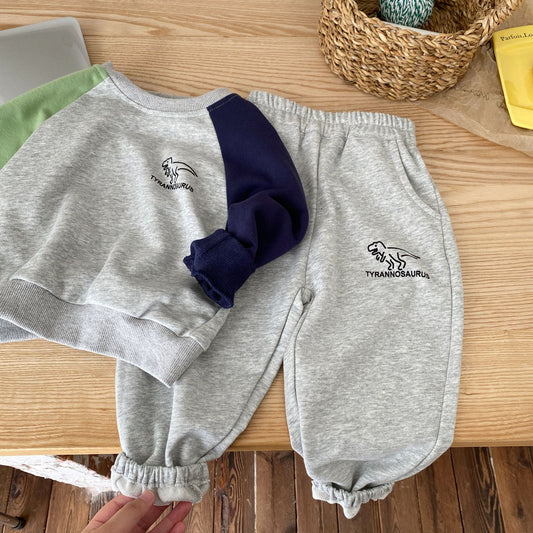 Toddler Girl Boy Dinosaur Print Sportswear